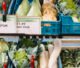 Fruit and vegetable shelves