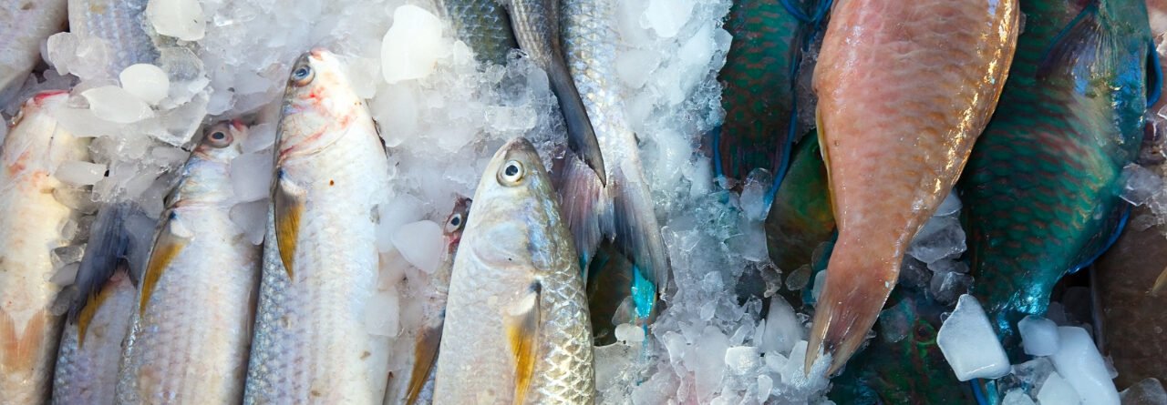 ice fishing